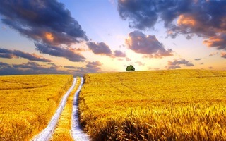  photo image_zpsu8ec9jbo.jpeg