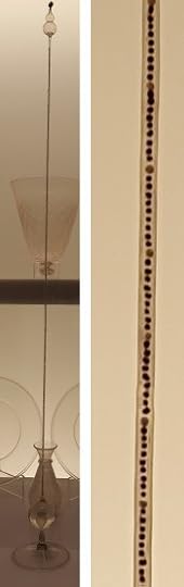 Galileo's thermometer (left) and a closeup of the tube (right).