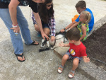 The petting zoo. The animals choices were pretty sparce, but they're apparently getting in more.