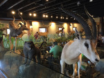 The restaurant, where you can eat surrounded by all kinds of dead animals.
