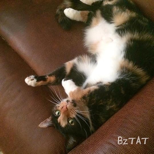 Mia Meow, kitty from Oh My! Mia Meow upside down