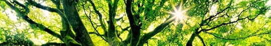 aaa
