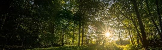 aaa