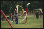 The Playground