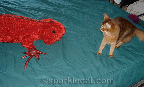 Sparkle the Designer cat with plush red iguana
