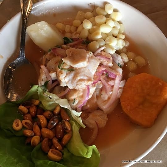 ceviche at Pio Pio 2 in Jackson Heights, Queens, New York