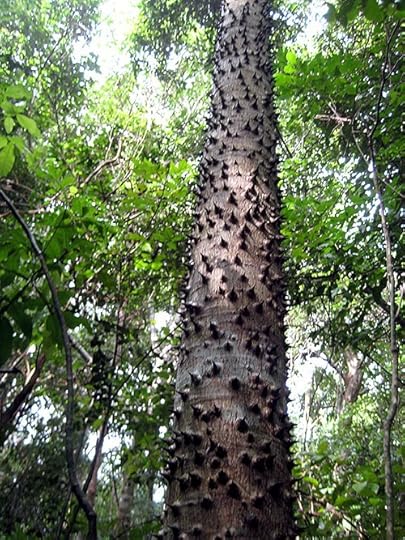 sandbox tree