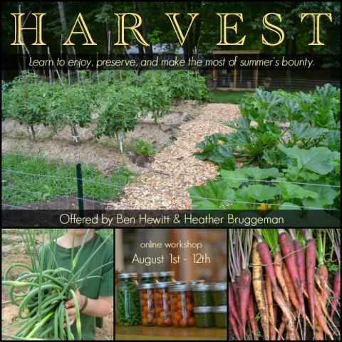 Harvest 2016 graphic