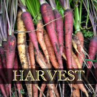 harvest small graphic