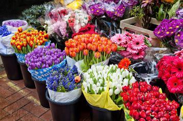 flower-market