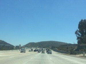 IMG_4604