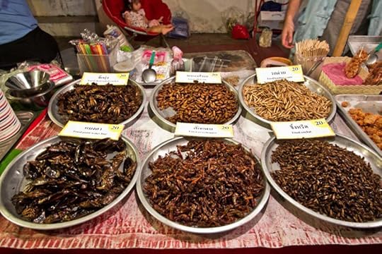 Thailand Chiang Mai Sunday night crafts market in Old Town fried insects