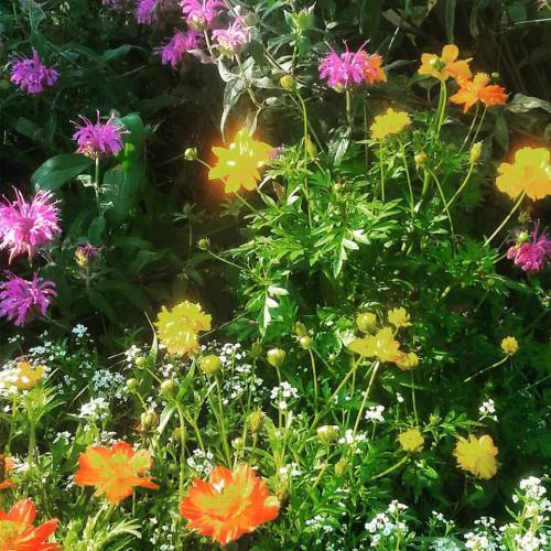 Another bright corner