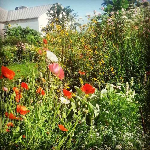 garden, yard, and old barn.jpg1