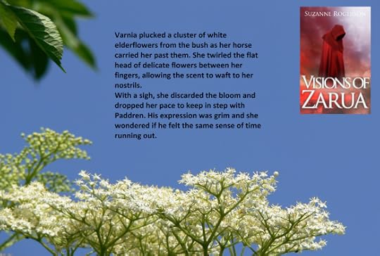 varnia and elderflower scene for blog tour