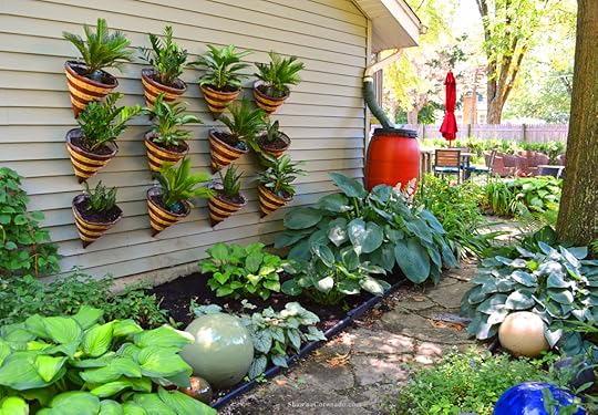 Plants of Steel Living Wall Shade Garden