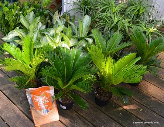 Cone Planter Living Wall Garden Plants of Steel