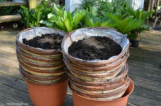 Cone Planter Living Wall Garden Organic Fertilizer