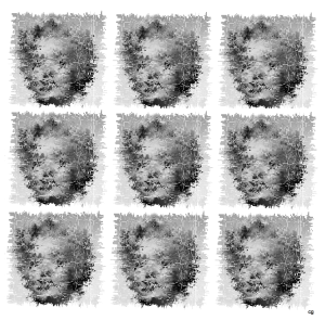 Marilyn 3x3