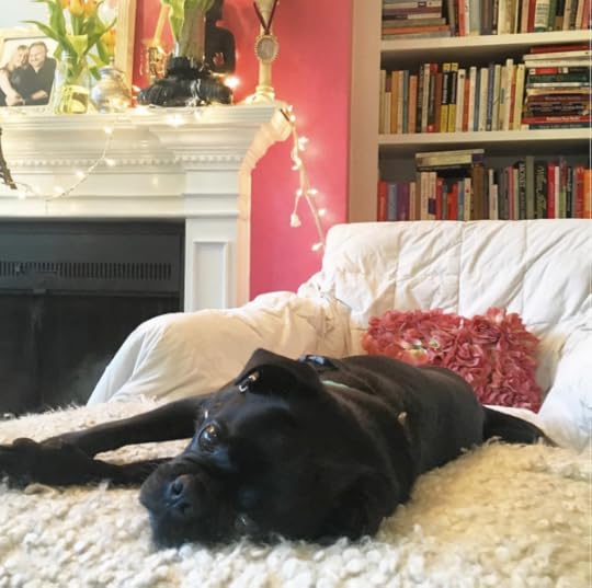 Screen Shot 2016-07-10 at 12.44.43 PM