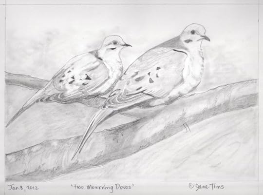 'two Mourning Doves'