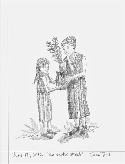 June 17 2016 'an exotic shrub' Jane Tims