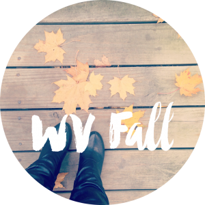 fallWV3-1024x1024