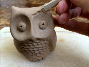 little owl making feathers
