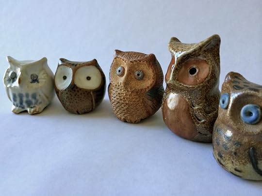 completed small owls