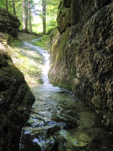 bickford slide2