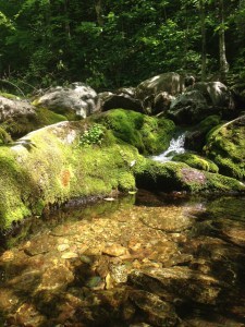 brook