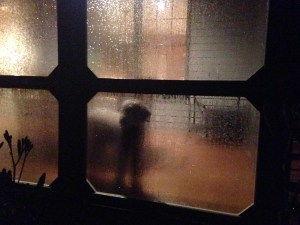 obi rain