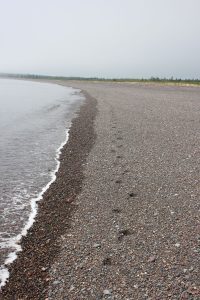 Can you imagine Reed or Popham this deserted on a July day?