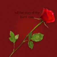 Burnt Rose.jpg