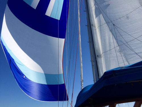 spinnaker practice counting stars