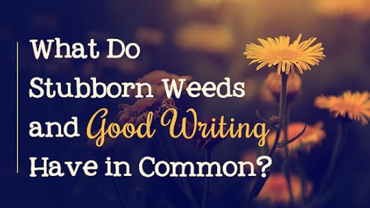 Newletter_post_weeds_featured