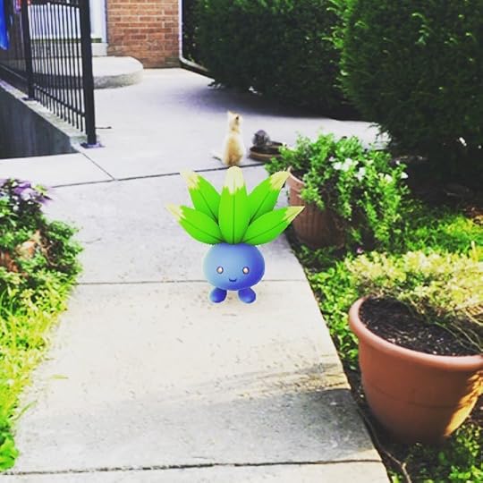 13649377_692085040967088_159195885_n