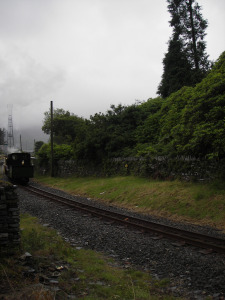 IMGP4147