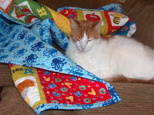 ABC quilt HPIM8148.JPG