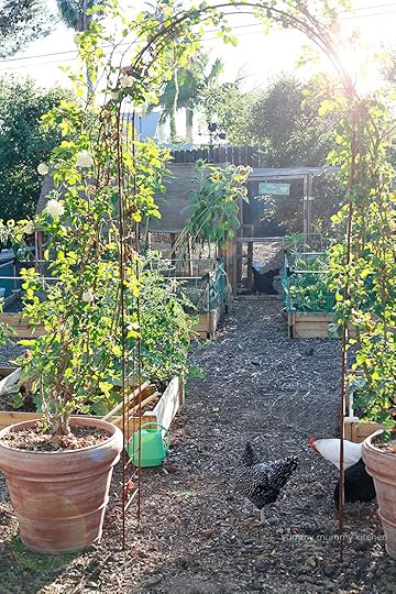summer potager garden