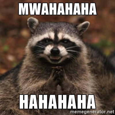 mwahaha raccoon