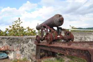 Fort Charlotte Cannon