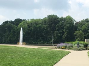 IMG_1037