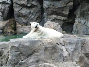 IMG_1057