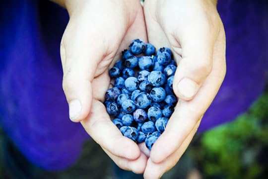 handful-of-wild-blueberries