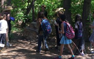 Meeting a Tree Spirit