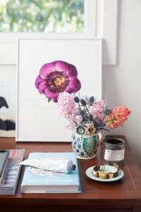 Candy Small Arrangement Plants