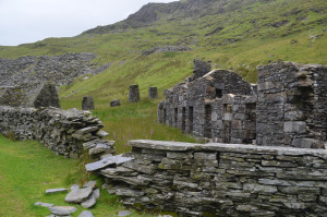 DSC_0878