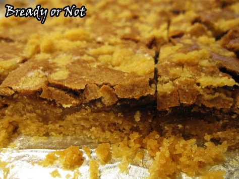 Bready or Not: Biscoff-Nutella Ecstasy Bars