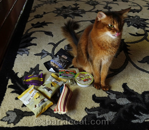somali cat sticking tongue out next to pile of treat bags.